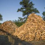 firewood_piles