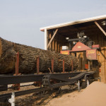 sawmill_main_image