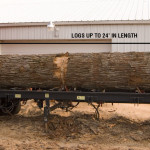 sawmill_sideview